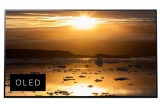 Sony 65A1